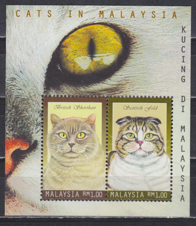 Cats catalogue. Марки с шотландскими кошками. Марки с БЛОКАМИ кошки. Кошка 1999. Марки Финляндия 2008 кошка блок.